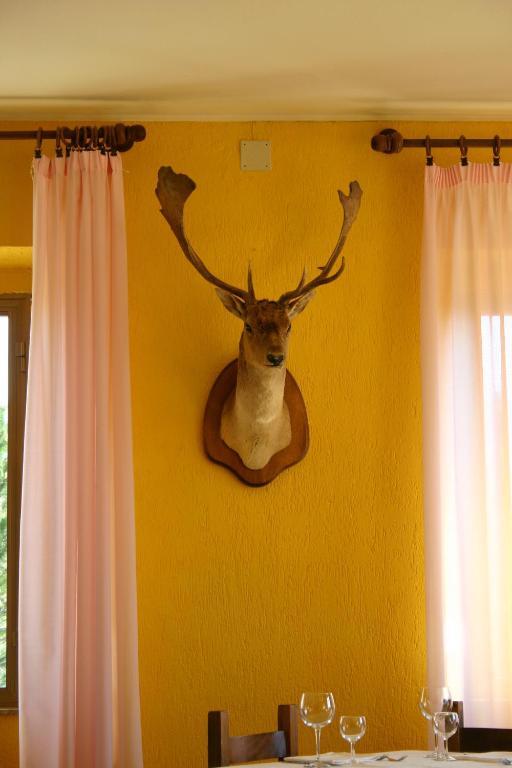 Terre D'Orcia Hotel Seggiano Bagian luar foto